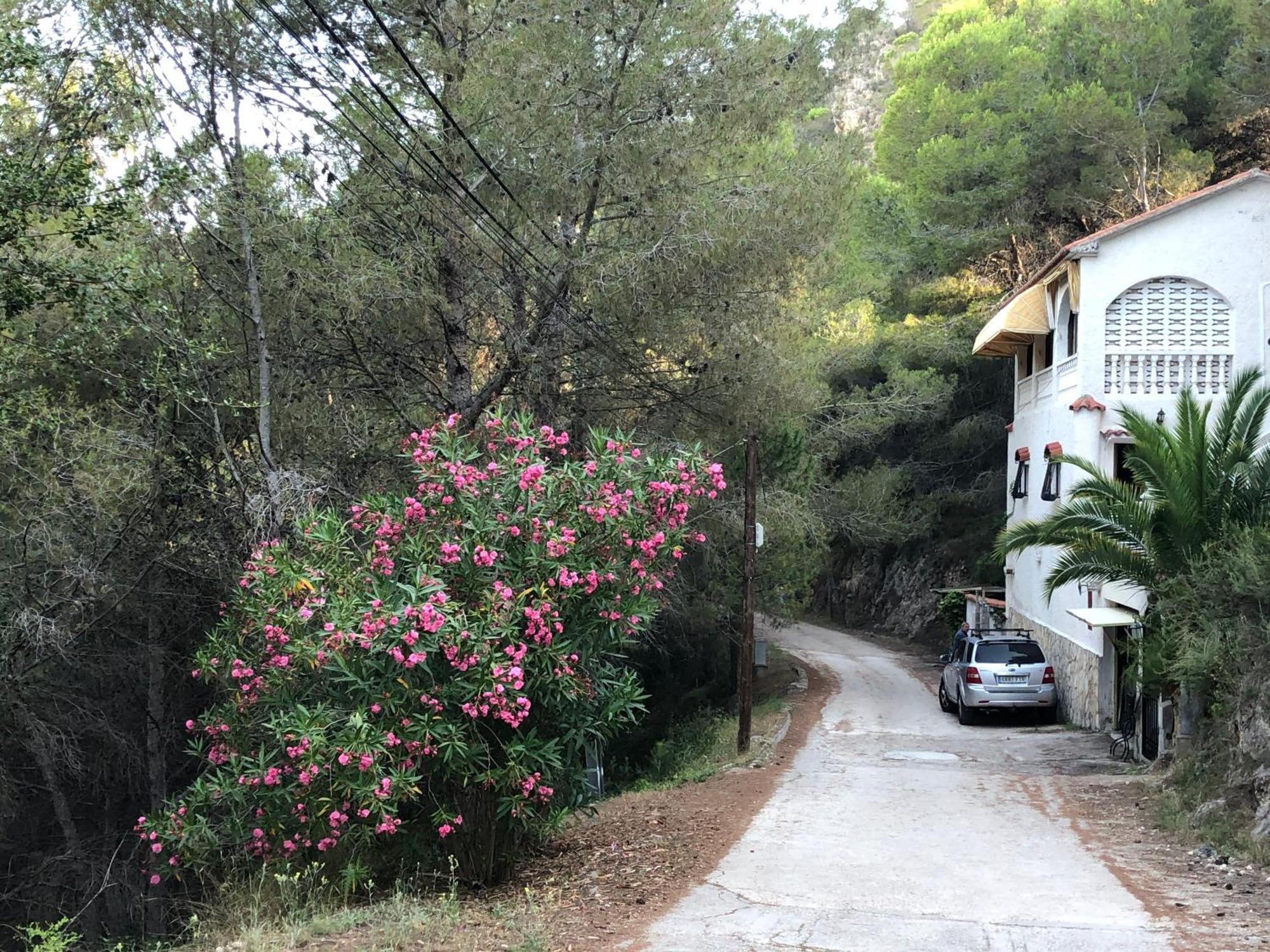 Villa Almisera Almiserat Exterior foto